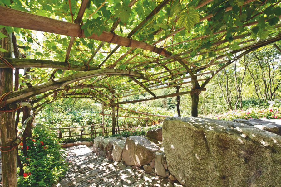 Il rimedio “ecologico” dei Giardini di Castel Trauttmansdorff