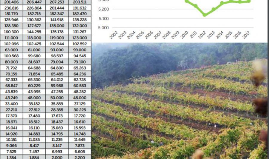 Vino in Cifre 2019