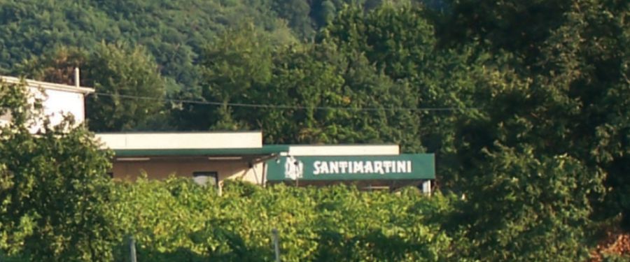 Il vino tra tradizione e innovazione