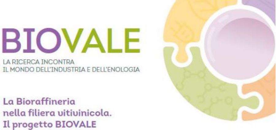 Valore aggiunto dei sottoprodotti enologici