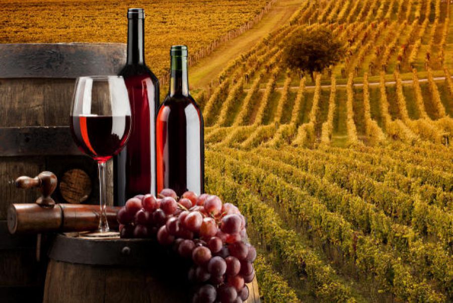 Rapporto sul turismo enogastronomico italiano 2019