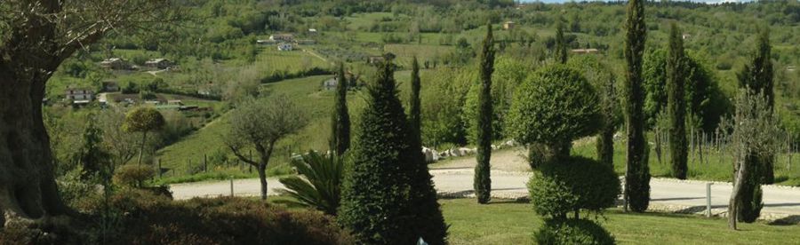 A Montefalcione il vino è ecosostenibile