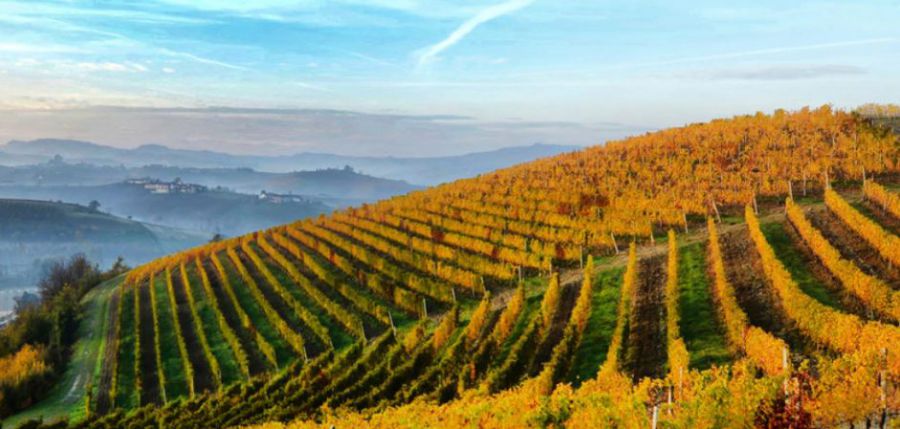Il vino simbolo di gioiosa amicizia