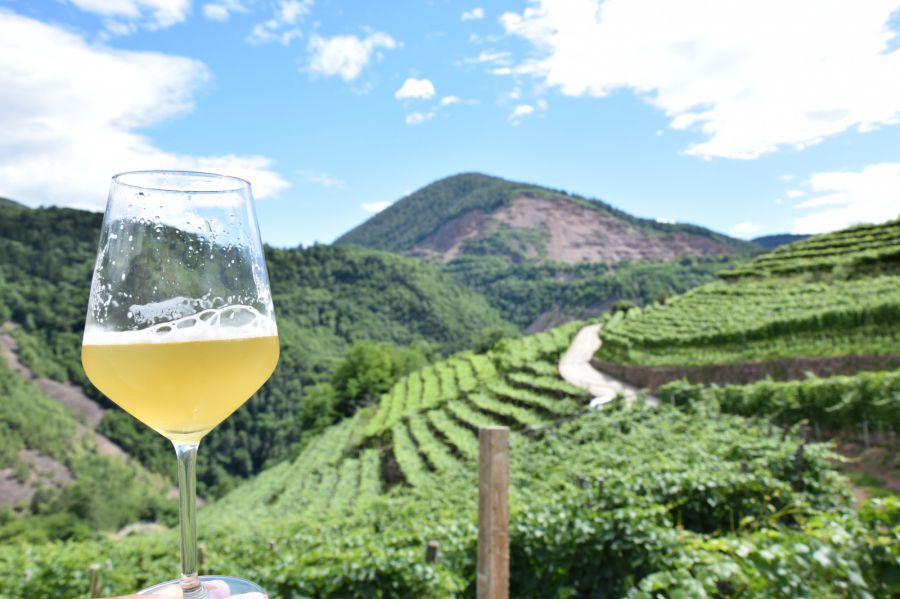 Settimana della Birra Artigianale