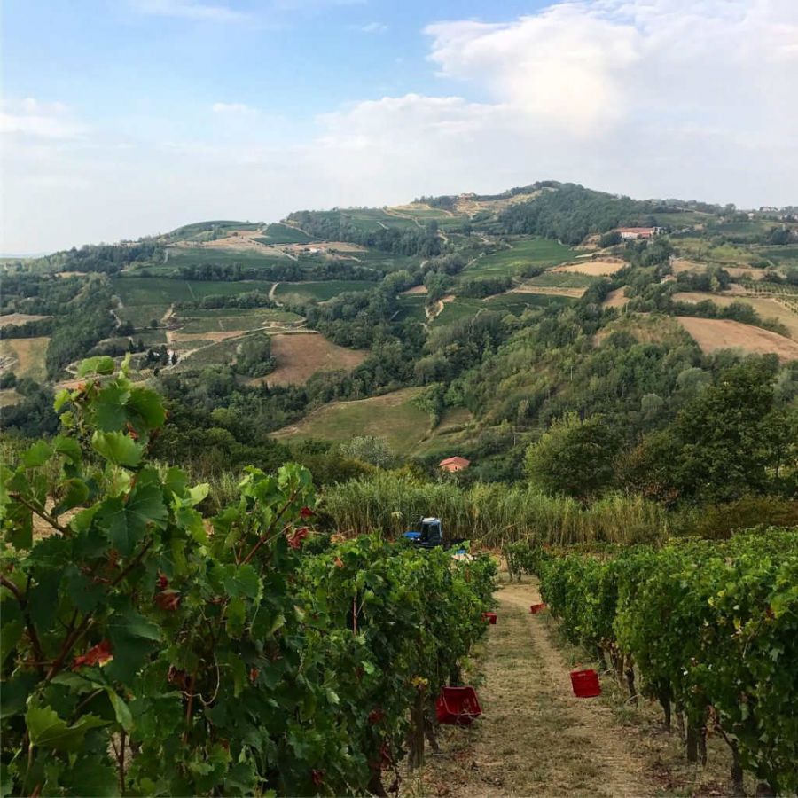 Il Nizza diventa Docg