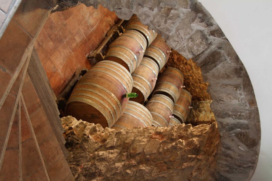 Aglianico e Falanghina tra tradizione e nuove tecniche