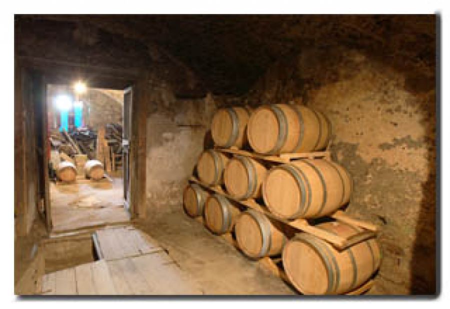 Vini dal carattere deciso