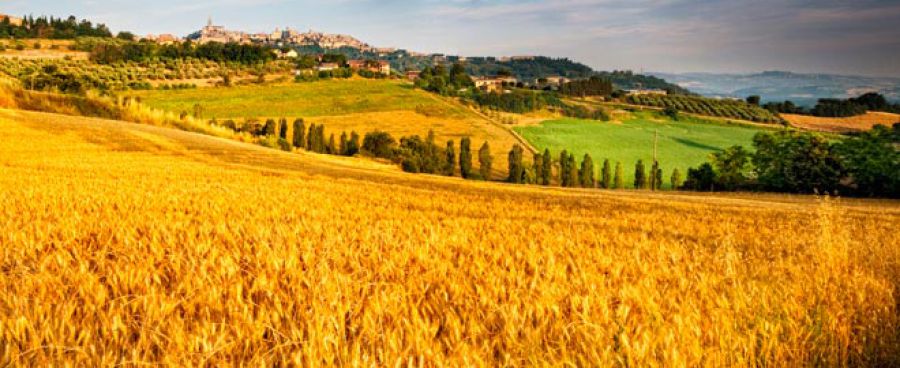 Sviluppo rurale, 42miliardi per la programmazione 2014-2020
