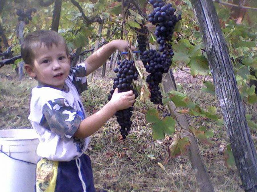 Il Nebbiolo dai sapori vulcanici
