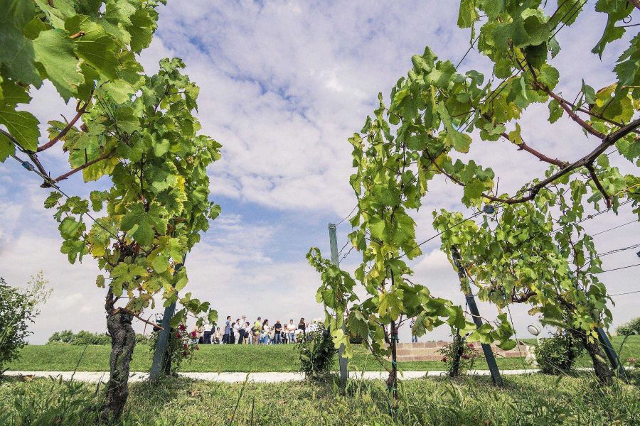 Franciacorta Summer Festival on the road