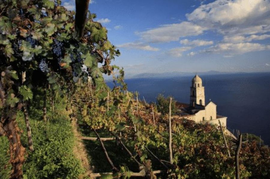 Le cantine del mare per The Grand Wine Tour