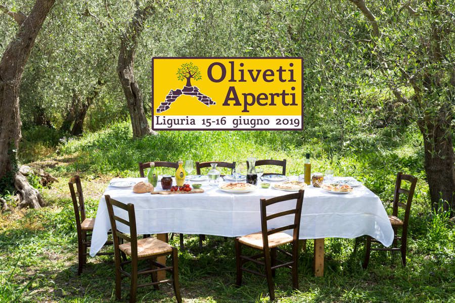 Oliveti Aperti: week-end green in Liguria