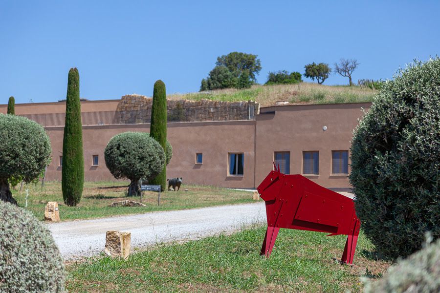 Torna Arte&Vino