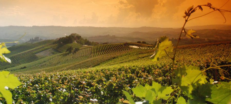 CONVIVIO in Monferrato