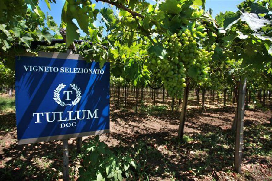 La Dop Tullum diventa Docg