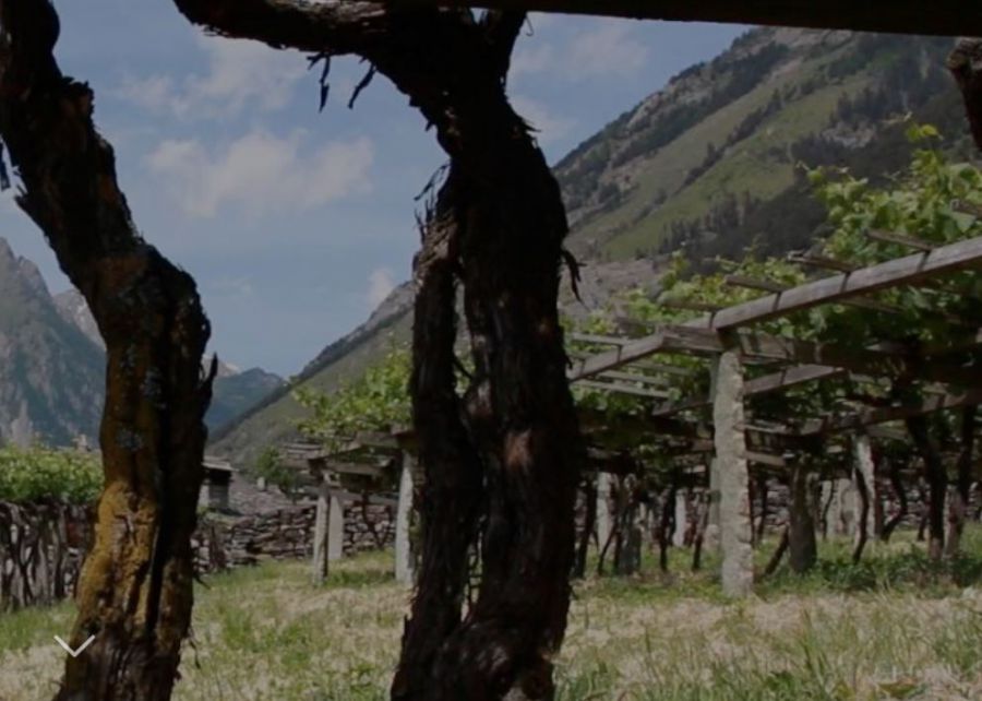 III edizione di Vins Extrêmes