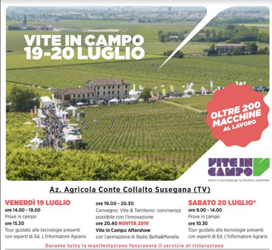 Vite in Campo 2019