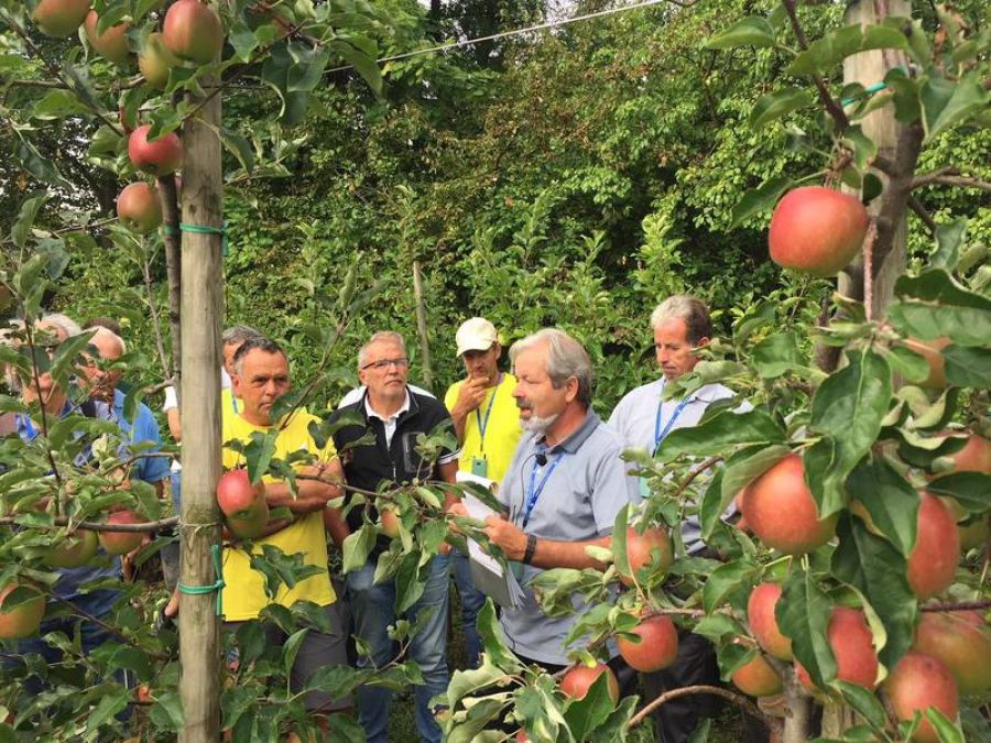 Focus su innovazione varietale e agrofarmaci