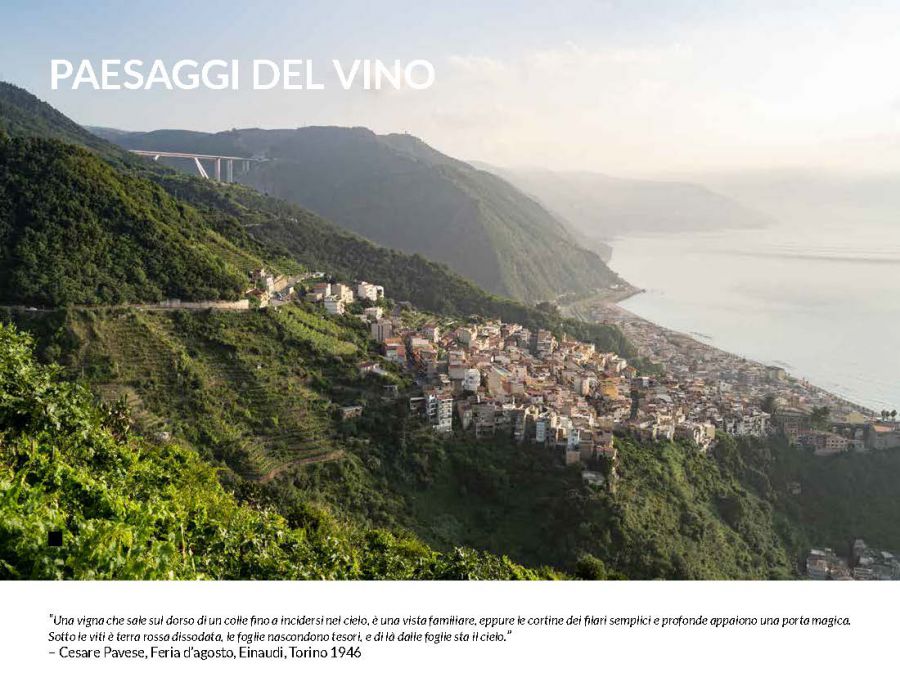 CALABRIA. Immagini di una terra dove il vino è anche tra le pietre