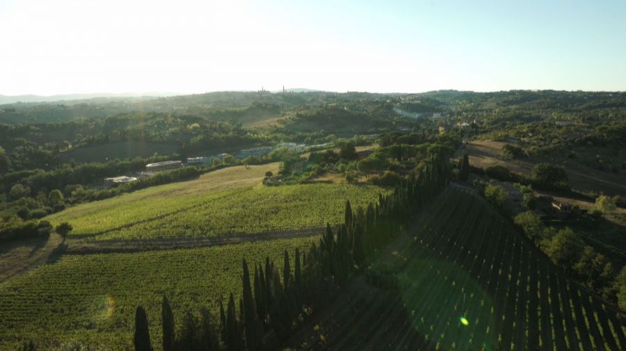 La Vigna Eccellente