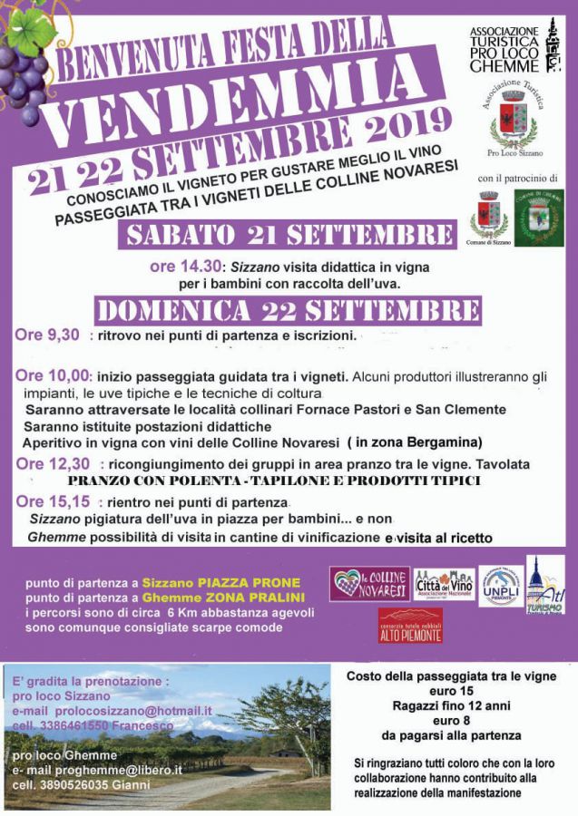 Vendemmia nel novarese: Ghemme e Sizzano, viaggio tra le vigne
