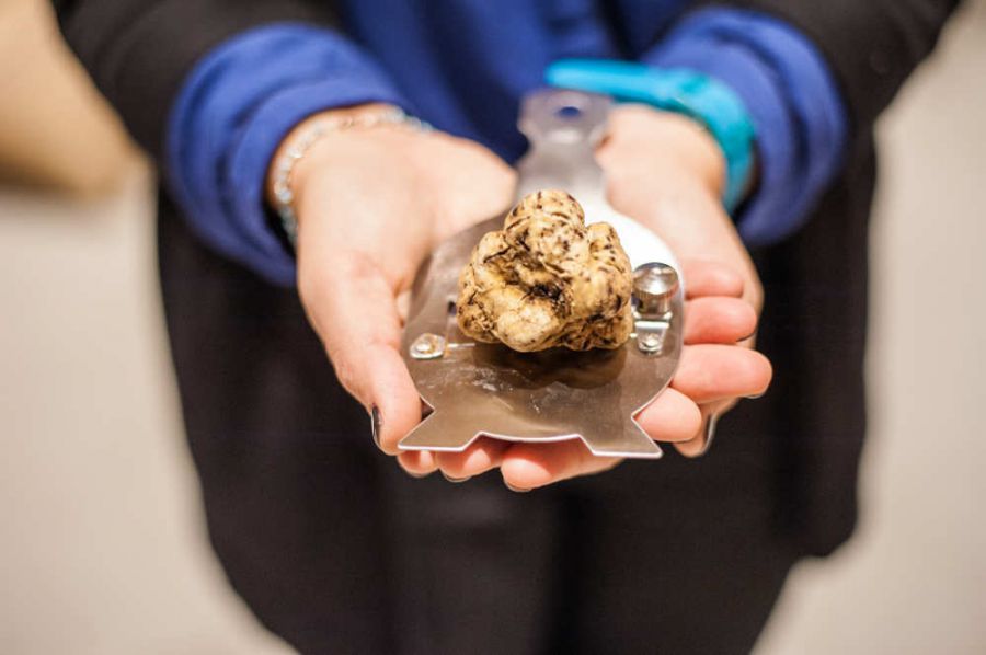 89ª Fiera del Tartufo Bianco d'Alba
