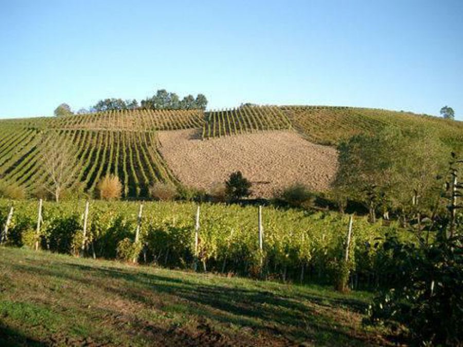 Le bollicine rosa dell'Aglianico