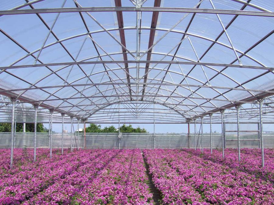 Innovazione e affidabilità in agricoltura