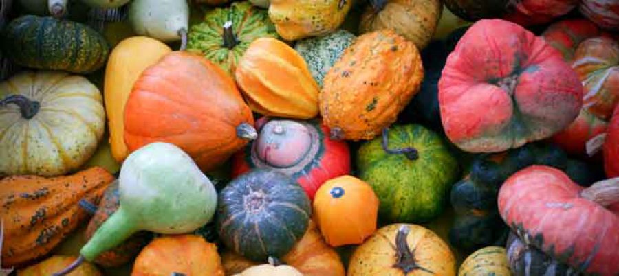 Biodiversità tutelata per legge