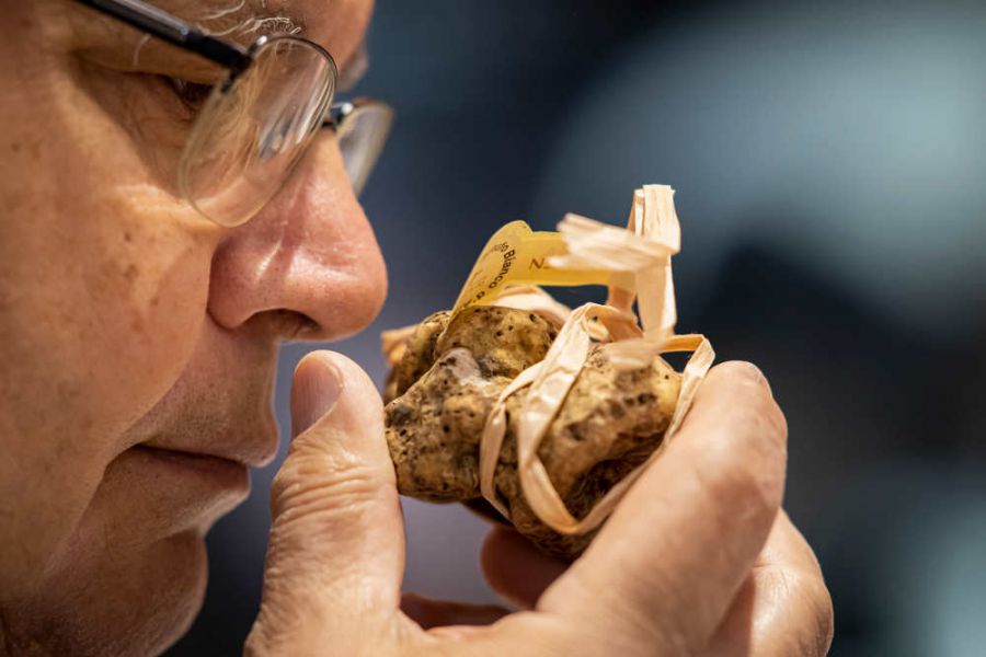 Fiera Internazionale del Tartufo Bianco d'Alba