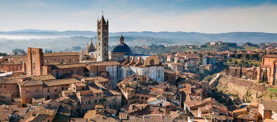 Sangiovese Purosangue a Siena