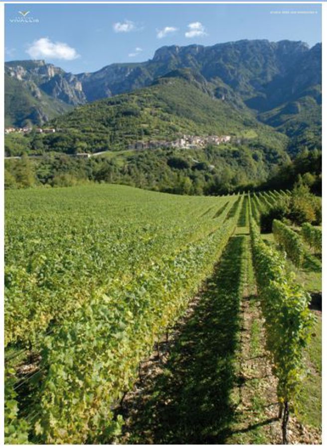 Riordino fondiario: un modello concreto di rinascita rurale