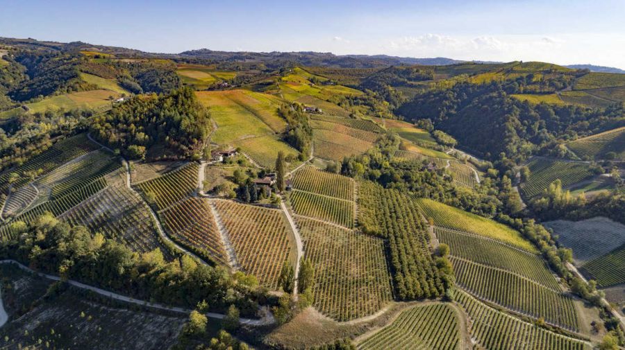 Piemonte: la chiusura della vendemmia 2019