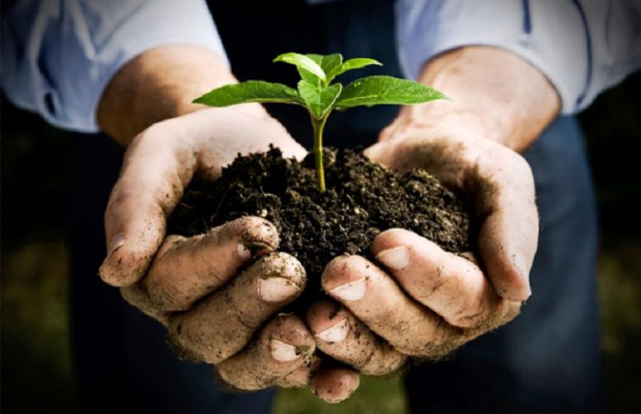 L'agricoltura torna protagonista