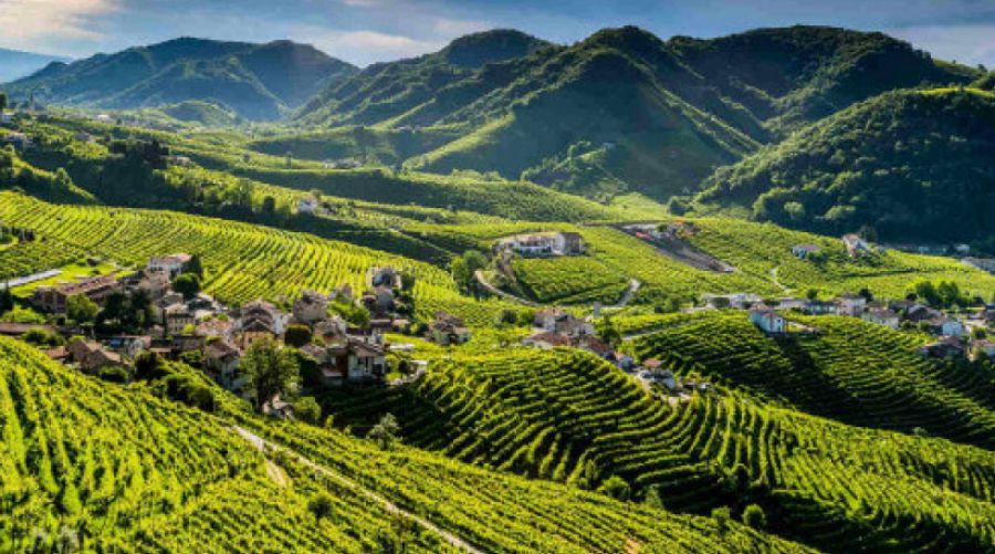 Un francobollo per i 10 anni del Prosecco