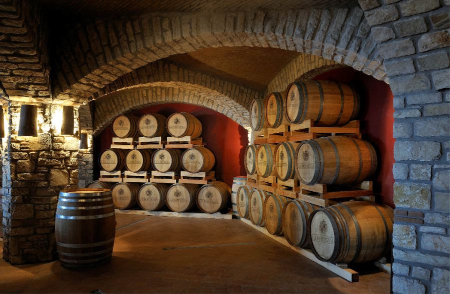 Il vino si fa in vigna