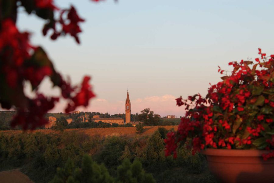 Qualita' dalla vigna alla bottiglia