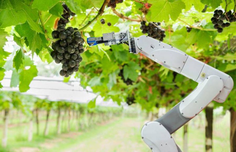 “Smart farming & food”