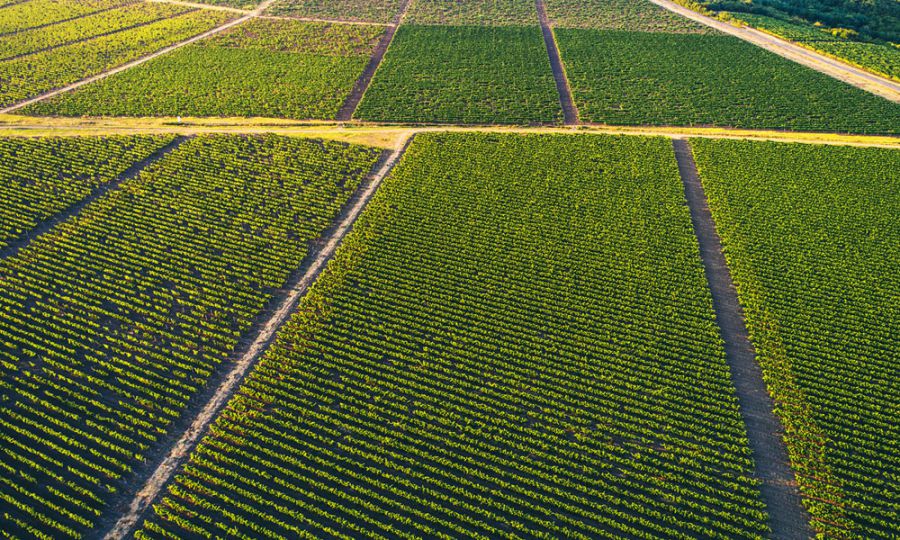 PROiNOS: coltivare la sostenibilita'