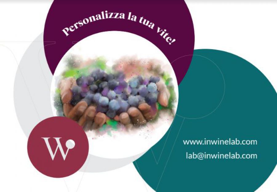 Nuove varietà di vite per affrontare la viticoltura