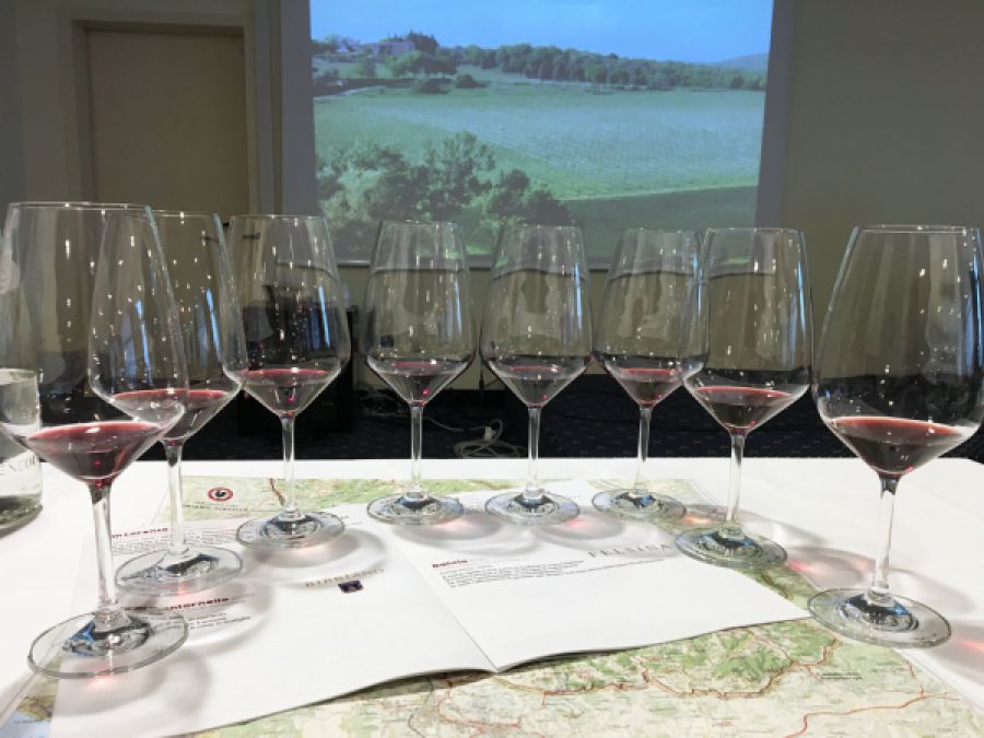 28 corsi per formare esperti del vino