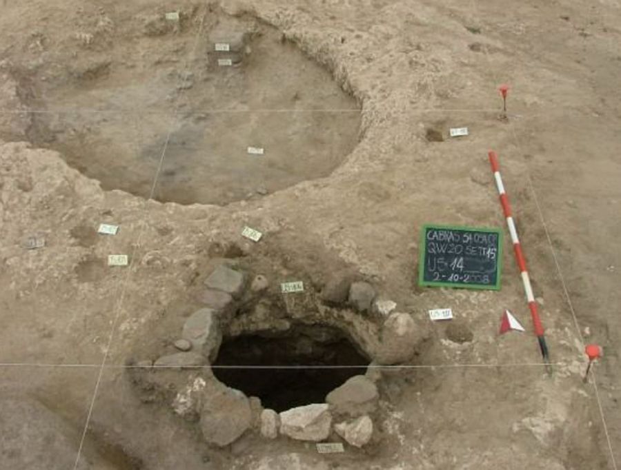 In Sardegna semi di vernaccia e malvasia di 3000 anni