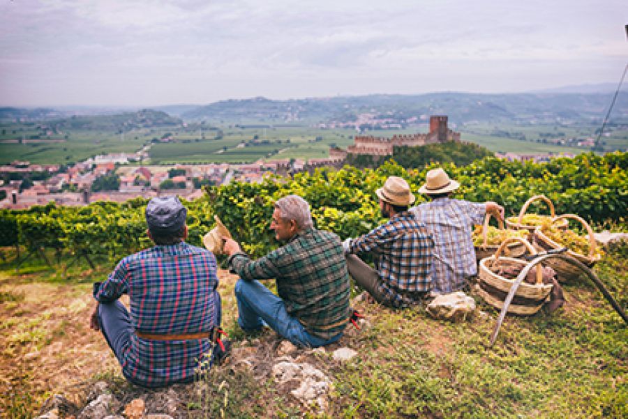Integrità: nel Soave la natura difende la natura