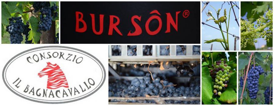 Concorso giornalistico “Il Bursôn e il suo territorio”