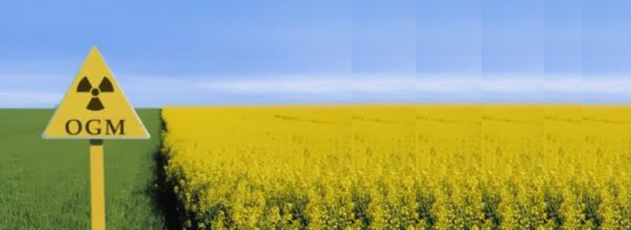 No agli OGM: cresce il numero degli aderenti alla Task Force per una Italia libera da organismi geneticamente modificati