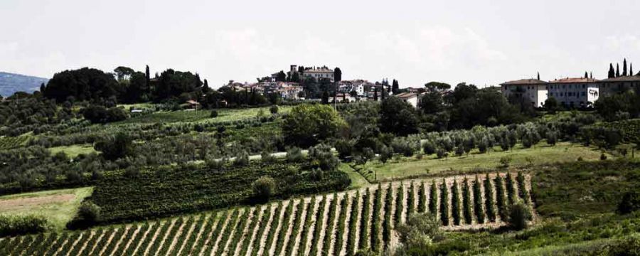 Master Universitario di I livello in Management del Turismo Enogastronomico