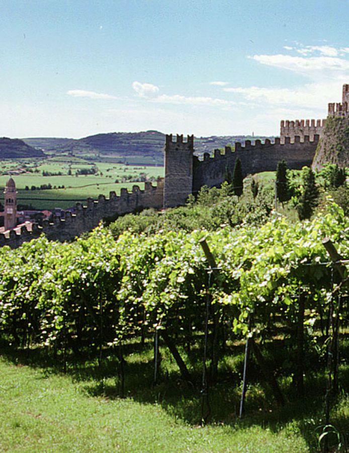 Un “sensational” Soave raddoppia in Usa
