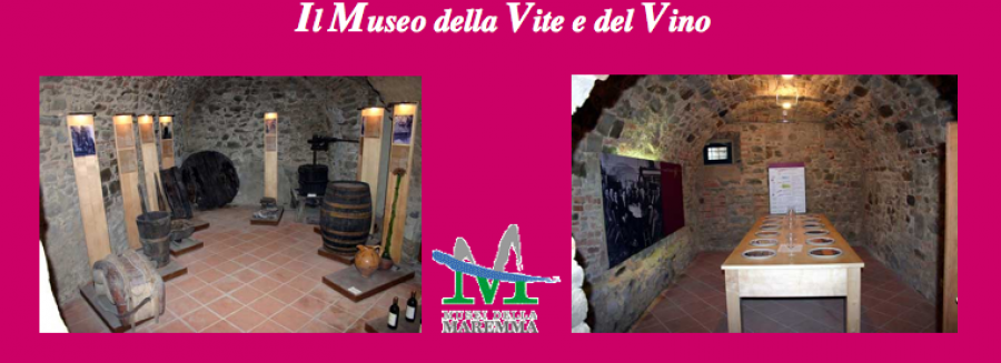 Scansano, cambia il Museo Archeologico e della Vite e del Vino