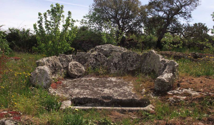 Sardegna: alle origini della viticoltura