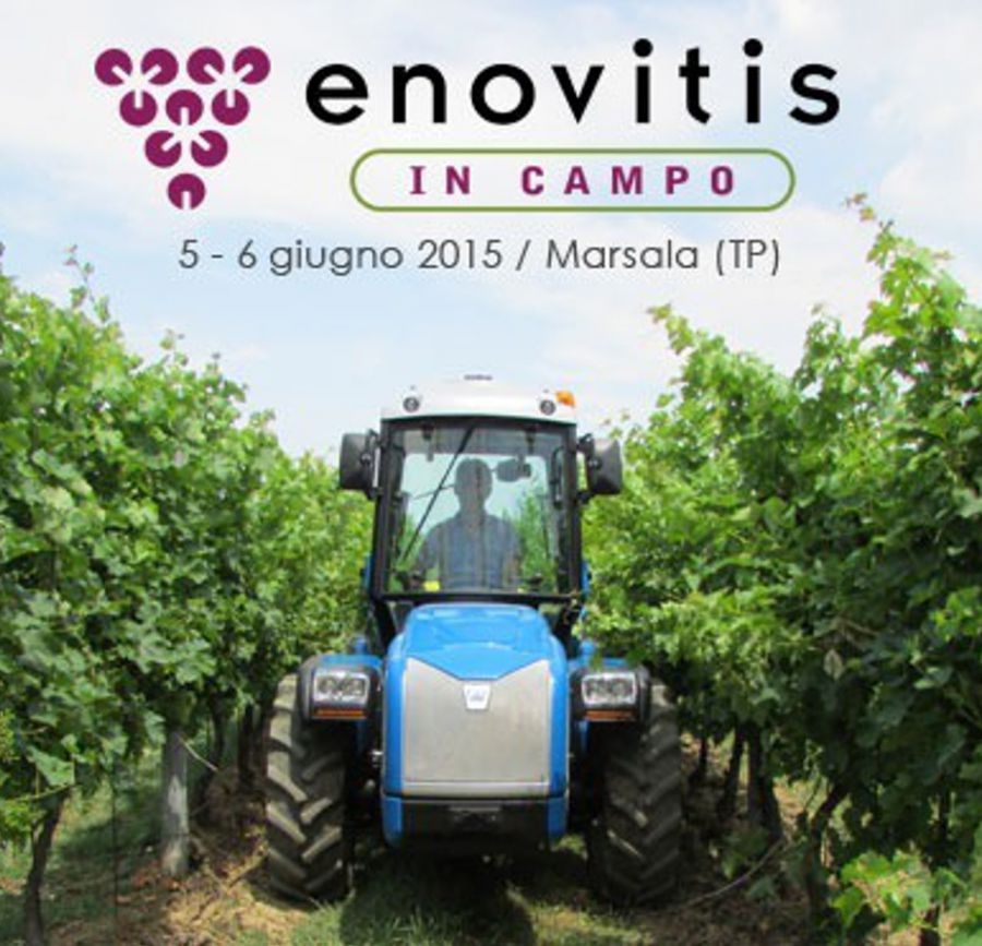 Congresso internazionale sul vino biologico a Enovitis in Campo